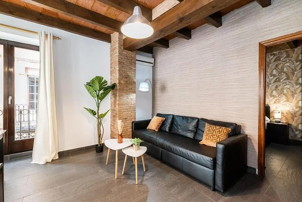 Apartamentos Afán de Ribera Granada 0*,  España