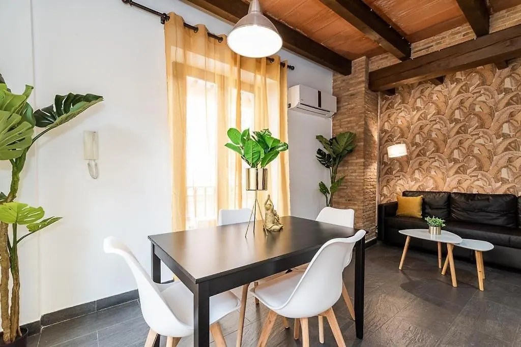 Apartamentos Afán de Ribera Granada España